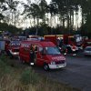 Samstag - Waldbrand im Raum Prezelle